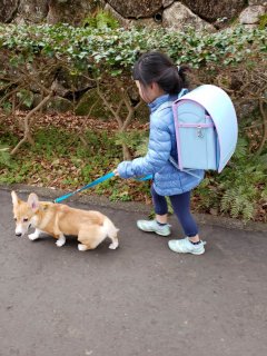 オーダーメイドランドセル届きました