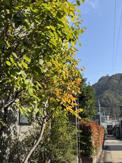 うのかばん,手作りランドセル ,セレクトオーダー,ラン活,入学準備,リ